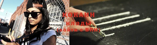 крисы Белокуриха
