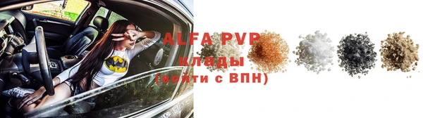крисы Белокуриха