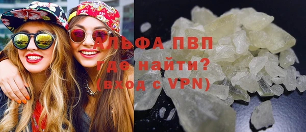 крисы Белокуриха