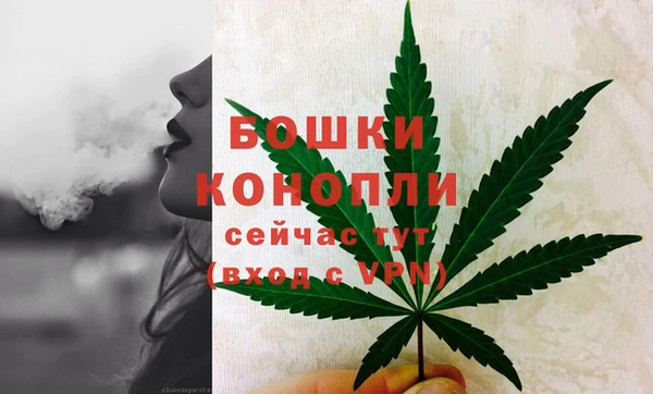 2c-b Осташков