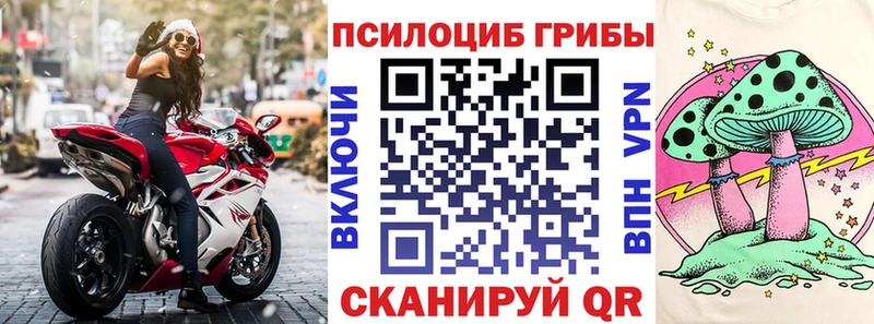 Псилоцибиновые грибы мицелий Шатура